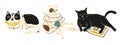 Set of cute British cats and kittens in poses different cartoon style.