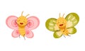 Set of cute butterflies with pink and green wings. Cute smiling insects with funny faces cartoon vector illustration Royalty Free Stock Photo