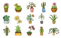 Set of Cute cactus and Succulents for cards. Stickers for girls. Mexican houseplants. kawaii cacti. engraved. hand drawn