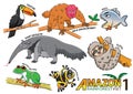 Set of Cute cartoon Animals and birds in the Amazon areas of Sou