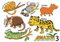 Set of Cute cartoon Animals and birds in the Amazon areas of Sou