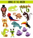 Set of Cute cartoon Animals and birds of the Amazon areas of South America isolated on white background. Jaguar, crocodile, piranh