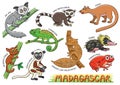 Set of Cute cartoon Animals and in the Madagascar areas Royalty Free Stock Photo