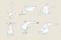 Set of cute cartoon bird isolated on white background. Vector animal illustration. Royalty Free Stock Photo