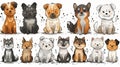 A set of cute cartoon dogs and cats with different breeds and colors Royalty Free Stock Photo