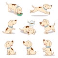 Set of cute cartoon dogs. Begging, dreaming, smiling, running, sitting dog poses hand drawn illustration