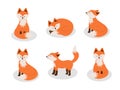 Set of cute cartoon foxes. Funny foxes in different poses. Vector illustration forest animals Royalty Free Stock Photo