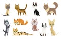 Set of cute cartoon kitties or cats with different colored fur and markings standing sitting or walking vector