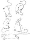 Set of cute cartoon linear decorative rats. Five decorative rats for coloring - vector set. Little mouse. Royalty Free Stock Photo