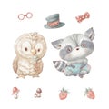 Set of cute cartoon owl and raccoon. Glasses hat berries and mushrooms