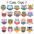 Set of Cute Cartoon Owls