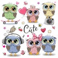 Set of cute owls on a white background