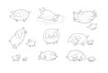 Set with cute cartoon pigs. Farm animals. Pig in different poses