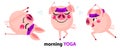 Set of cute cartoon pigs Royalty Free Stock Photo