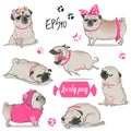 Set with cute cartoon pug