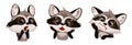 Set of cute cartoon raccoons Royalty Free Stock Photo