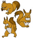 A set of cute cartoon squirrels in different poses, a cute squirrel looks at a nut and sits