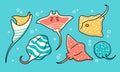 Set of cute cartoon stingrays. Vector illustration.