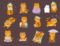 Set of 12 cute cartoon vector tigers in different seasons: winter, spring, summer, autumn, fall. Funny character for childs