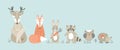 Set of cute woodland animals in scandinavian style Royalty Free Stock Photo