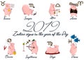 2019 Set of cute cartoon zodiac Pig. Vector illustration zodiacal symbols: Aries, Taurus, Gemini, Cancer, Leo, Virgo, Libra, Scorp Royalty Free Stock Photo