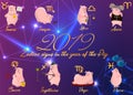 2019 Set of cute cartoon zodiac Pig. Vector illustration zodiacal symbols: Aries, Taurus, Gemini, Cancer, Leo, Virgo, Libra, Scorp Royalty Free Stock Photo