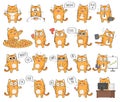 Set of cute cat character with different emotions Royalty Free Stock Photo