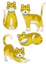 Set cute cat character in various poses Royalty Free Stock Photo