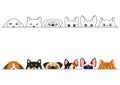 Funny peeking cats and dogs border set