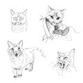 Set of cute cats drawn by a liner Royalty Free Stock Photo