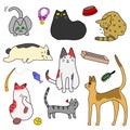 Set of Cute cats and goods