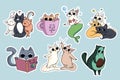 Set Of Cute Cats Stickers. Avocado Cat, Coffee-cat. Cat Reading