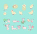 Set of cute chickens and Bunnies, Easter eggs, flowers, leaves, bucket. rabbits hide eggs
