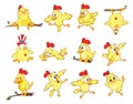 Set of Cute Chickens in Different Poses for you Design. Cartoon Character Royalty Free Stock Photo