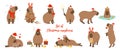 Set cute christmas capybaras in different poses and christmassy items. Hand drawn cartoon flat vector style.