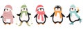 Set of cute christmas penguins isolated on white background. Vector illustration in flat cartoon style Royalty Free Stock Photo