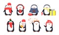 Set of cute Christmas penguins. Vector illustration Royalty Free Stock Photo