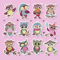 Set of 12 cute colorful cartoon owls