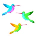 Set of cute colorful hummingbirds