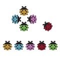 Set of cute colorful ladybugs clip art collection isolated on white background Royalty Free Stock Photo