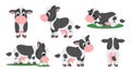 Set of cute cows in different poses and angles. Royalty Free Stock Photo
