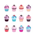 Set of 12 cute cupcakes isolated on white background