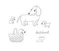 Set of cute dachshund illustration in different poses. Royalty Free Stock Photo