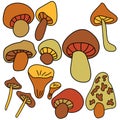Set of cute doodles mushroom, Brown and orange nature elements, vector hand draw illustration Royalty Free Stock Photo