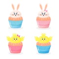 Set of cute Easter cupcake decorated with bunny and chicken. Baby boy and baby girl, baby gender reveal Royalty Free Stock Photo