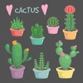 Set of cute exotic houseplant cactus