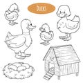 Set of cute farm animals and objects, vector family ducks Royalty Free Stock Photo