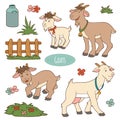Set of cute farm animals and objects, vector family goats
