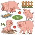 Set of cute farm animals and objects, vector family pigs Royalty Free Stock Photo