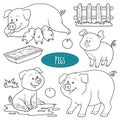 Set of cute farm animals and objects, vector family pigs Royalty Free Stock Photo